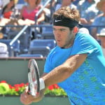 Juan Martin del Potro - former US Open Champion