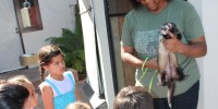 Alexandria Hicks-Nelson, co-founder of the Stanford Pre-vet club, shows off ferret Rascal to a group of children at the Palo Alto Junior Museum and Zoo, where she has volunteered for two years.