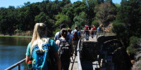 MADELINE SIDES/The Stanford Daily