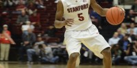 Stanford has been buoyed recently by standout sophomore guard Chasson Randle (above), who will look to get the Card back into the Pac-12 title chase this weekend after two close losses last week. (LEIGH KINNEY/The Stanford Daily)
