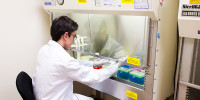 Jake Takahashi, who was deferred from Stanford early action, was chosen as one of 40 finalists for the Intel Science Talent Search for his work on the pathogenesis of pulmonary arterial hypertension. (Courtesy of Jake Takahashi)