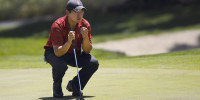 (HECTOR GARCIA-MOLINA/StanfordPhoto.com)