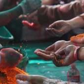 Holi Still