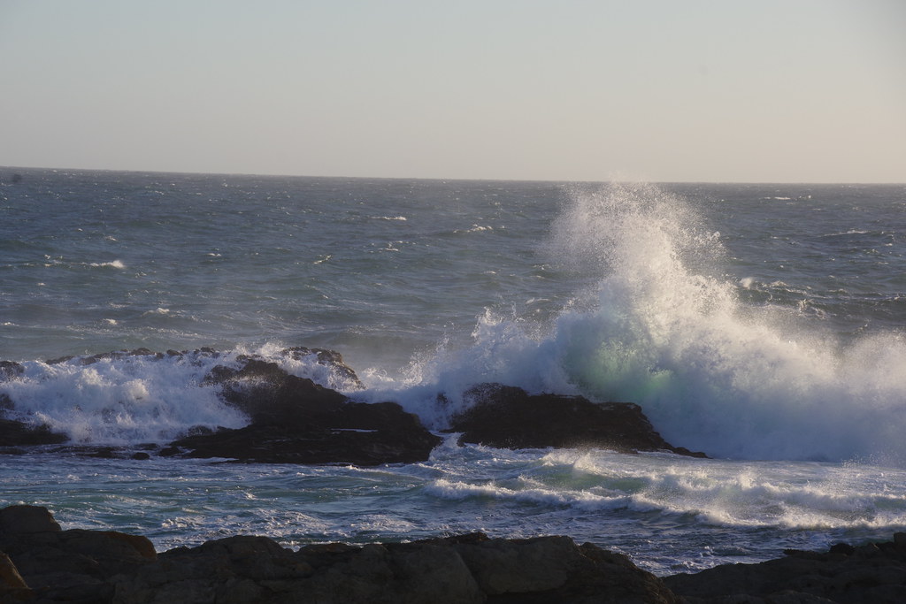 Research Roundup: Archaea proteins, phone app increases physical activity, nature unable to protect humans - The Stanford Daily